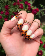 Load image into Gallery viewer, Almond Tortoise Shell